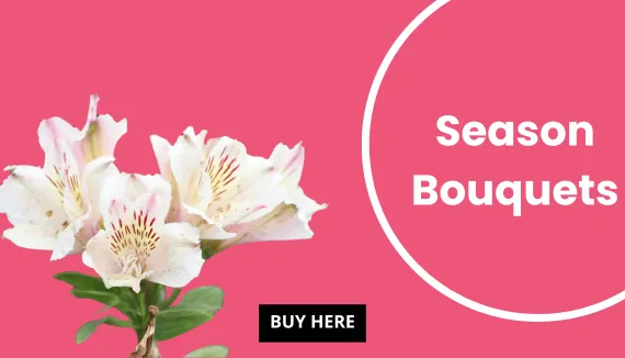 Summer Bouquet promotions